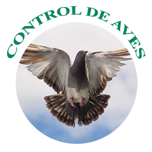 control-de-aves