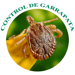 control-de-garrapatas